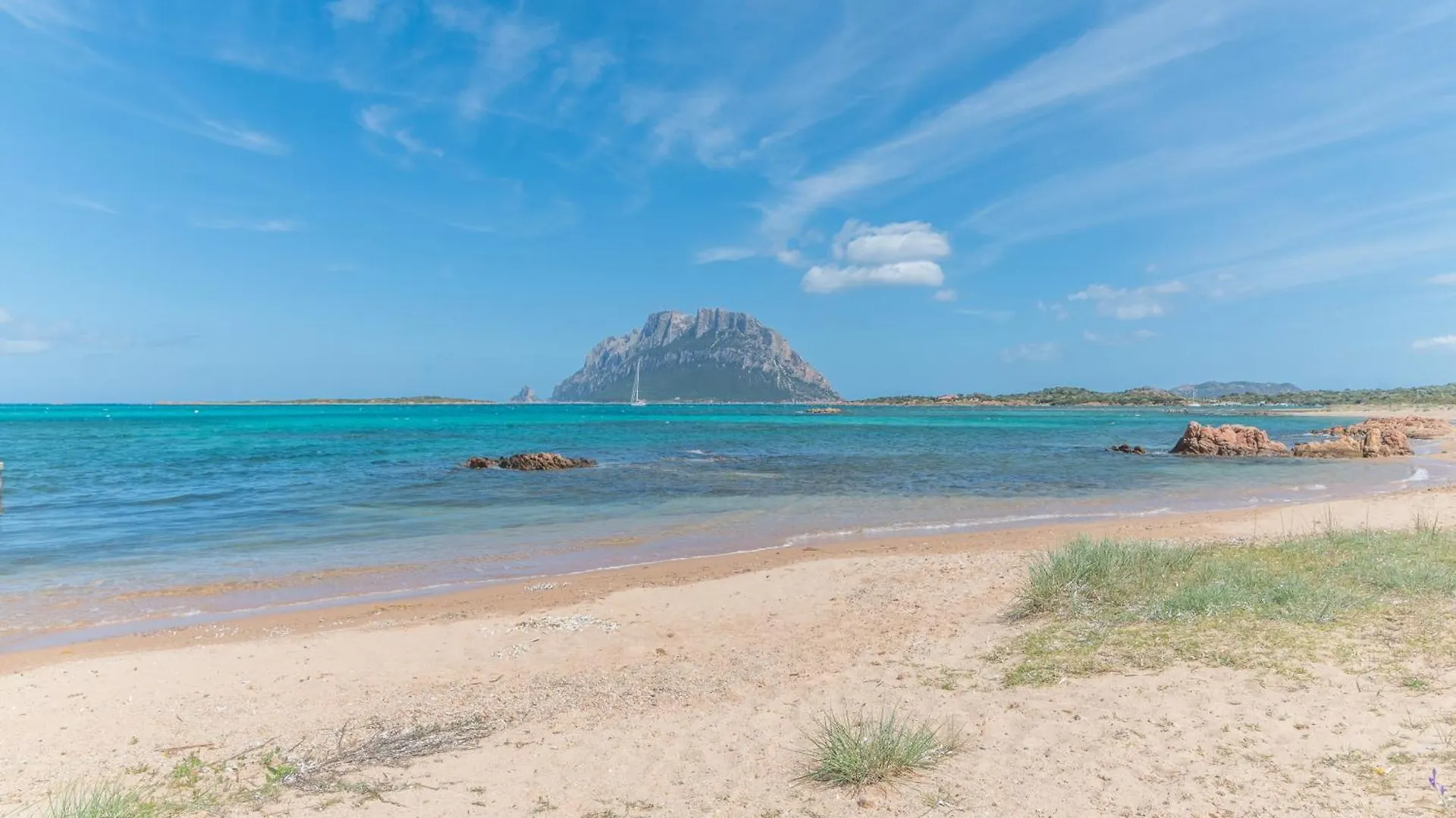 شقة Il Vecchio Faro A37 Close To The Beach - Happy Rentals إيطاليا